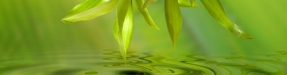 natural balance acupuncture