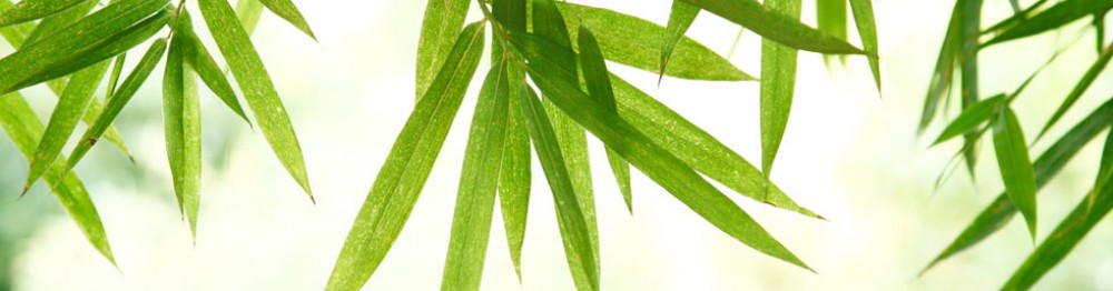 natural balance acupuncture